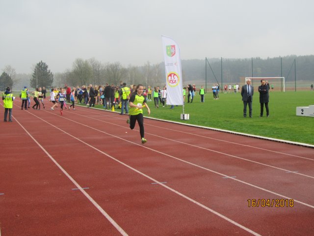 sztaf 23